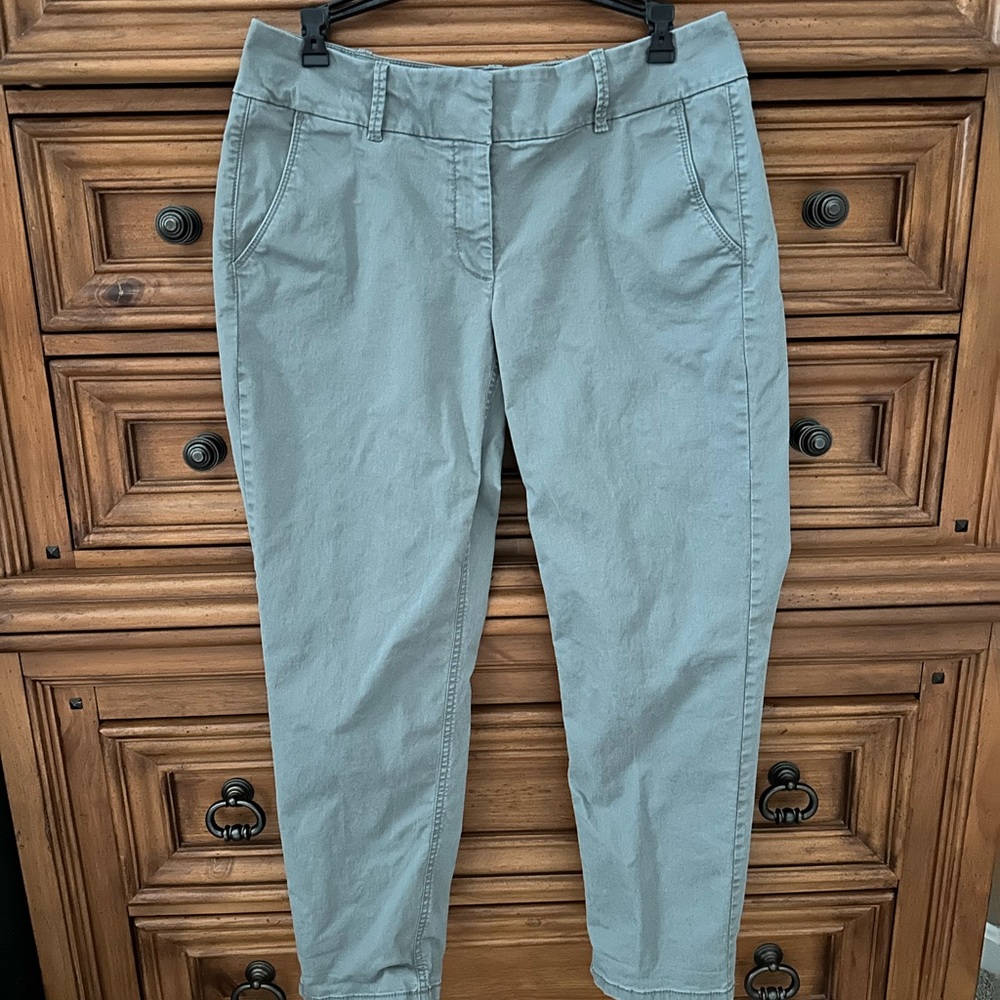 Ann Taylor Loft Julie Pants